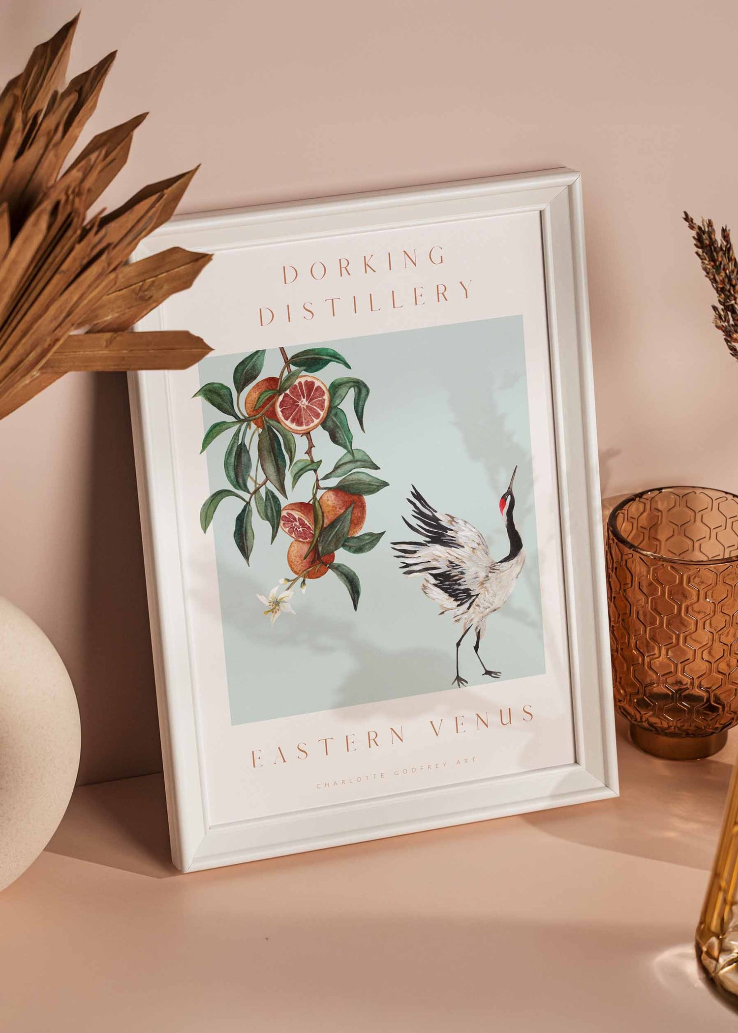 New Print Collection