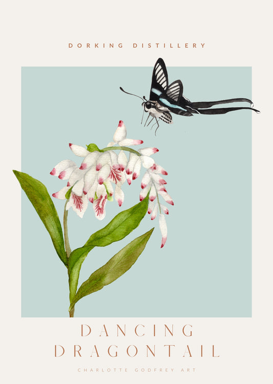 Dancing Dragontail A4 Print