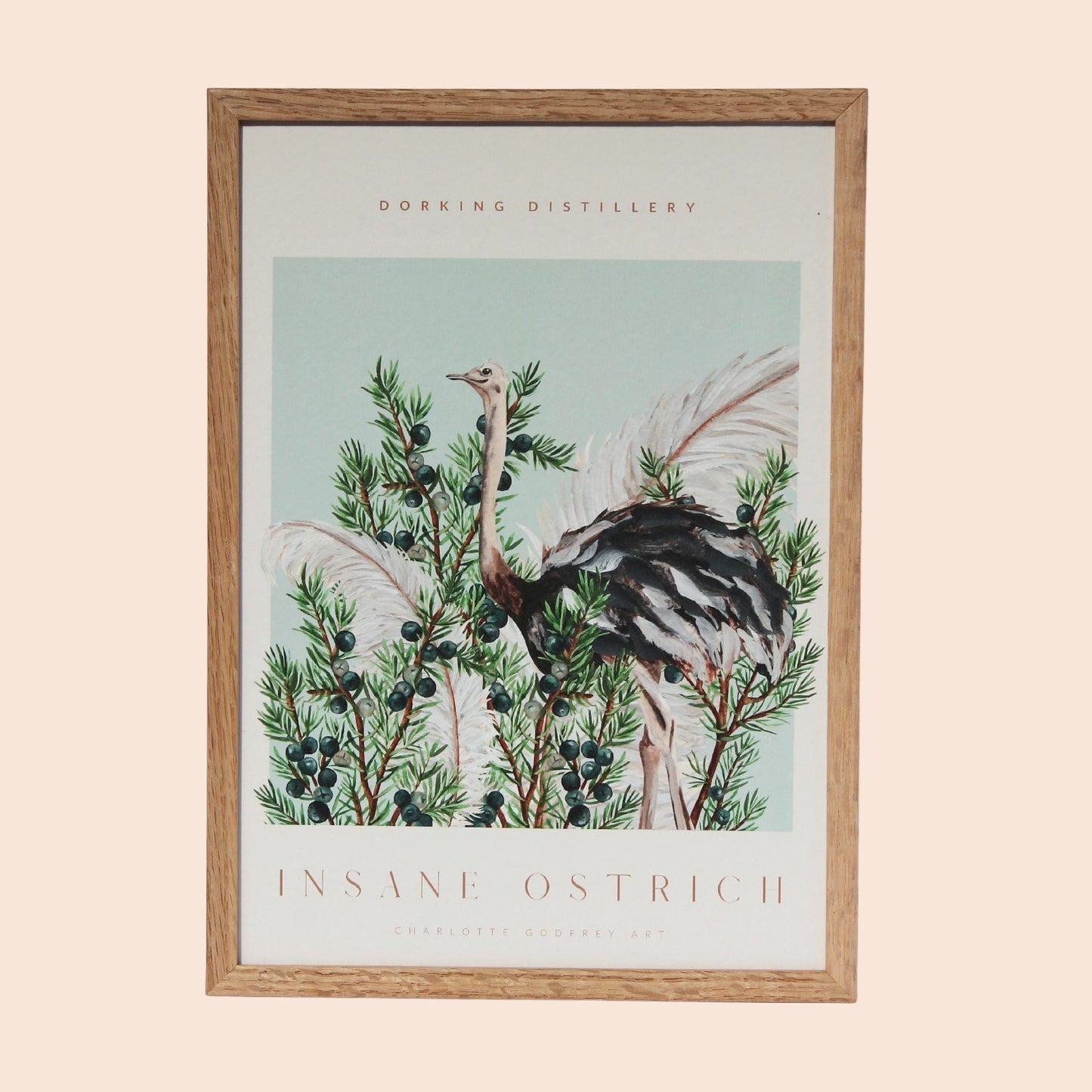 Insane Ostrich A4 Print