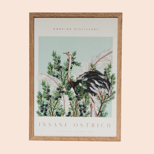 Insane Ostrich A4 Print