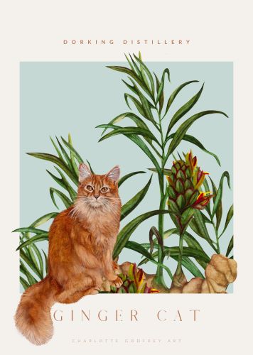 Ginger Cat A4 Print