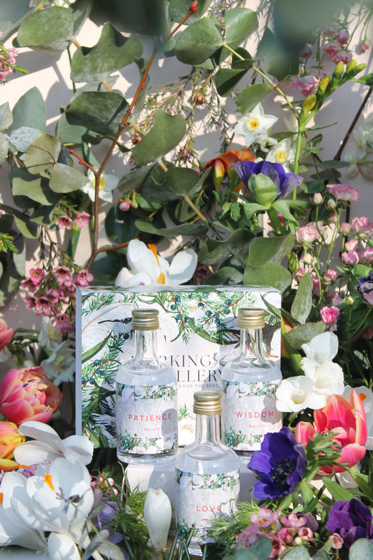 Love, Wisdom & Patience Gift Set