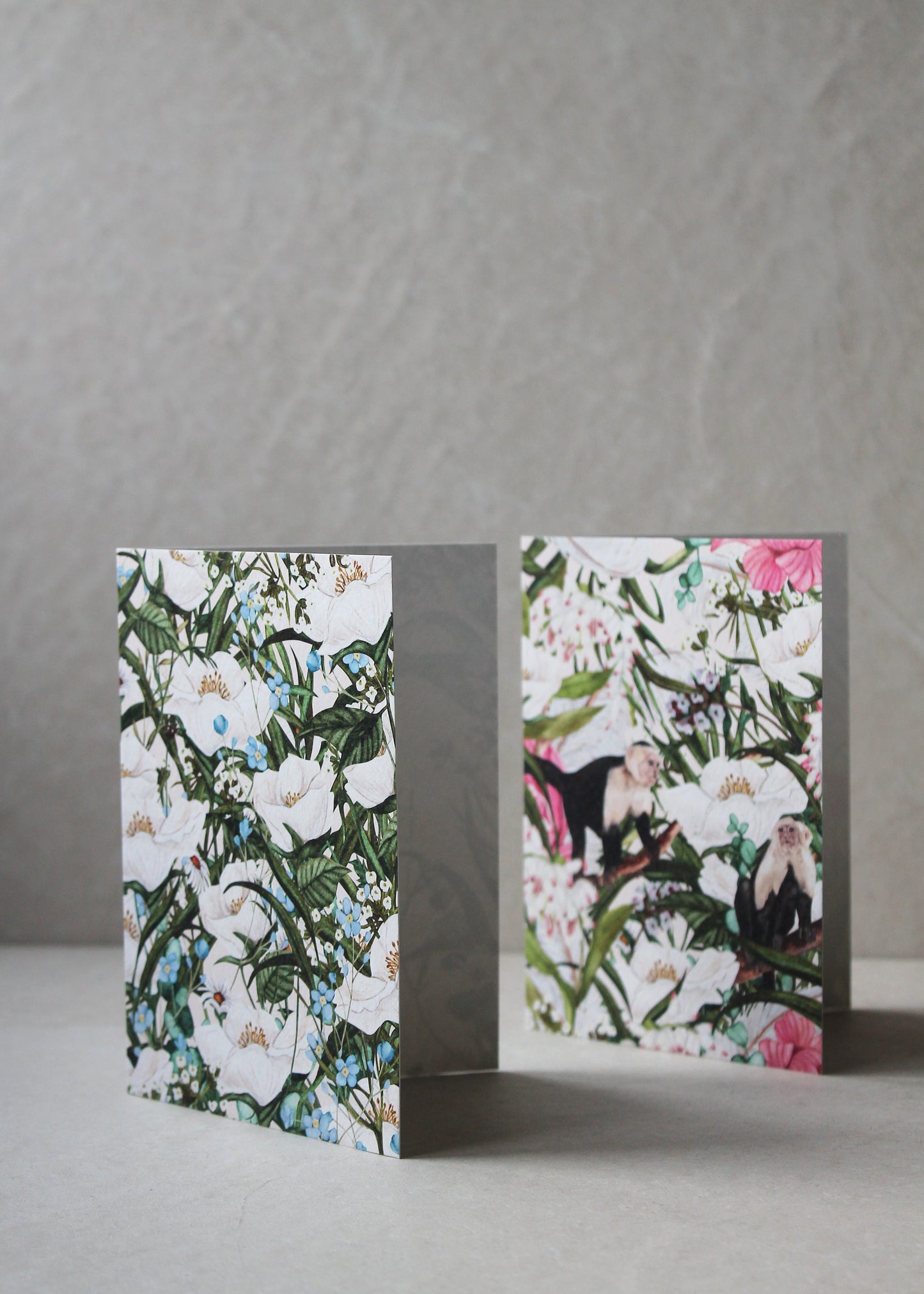 Blank Greeting Card