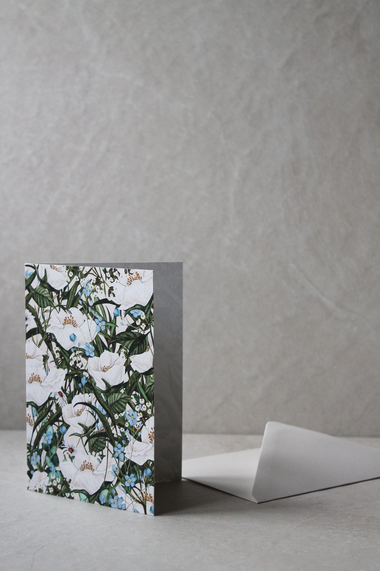Blank Greeting Card